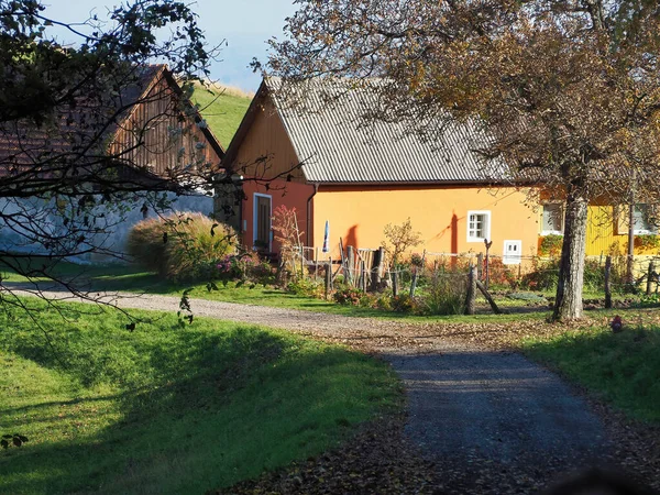 Enfoque Selectivo Casas Rurales Árboles Campo Día Soleado — Foto de Stock