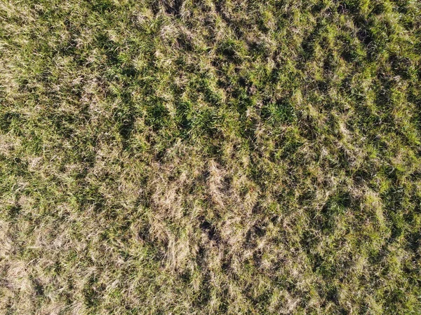 Ein Blick Von Oben Auf Den Rasen — Stockfoto