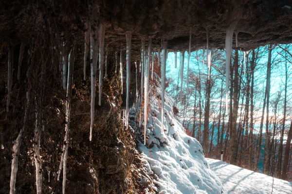 Красивый Вид Сосульки Свисающие Вершины Пещеры Землю Покрытую Снегом — стоковое фото
