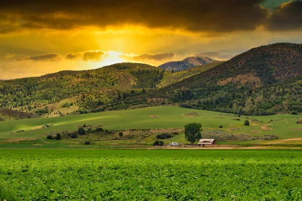 Piękny Krajobraz Górami Zieloną Trawą — Zdjęcie stockowe
