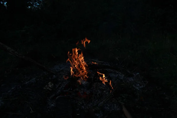 High Angle Shot Burning Fire Forest — Stock Photo, Image