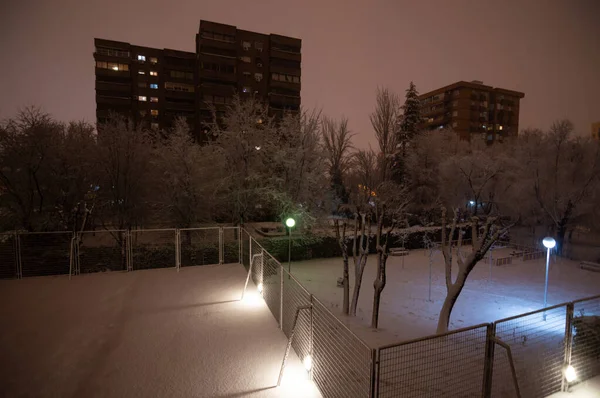 Parque Invierno Por Noche Con Edificios Fondo — Foto de Stock