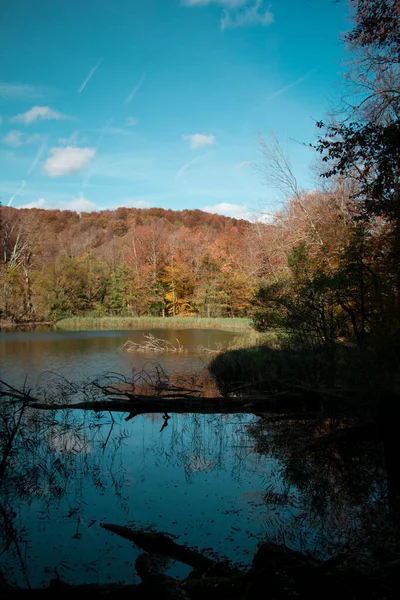 Красивый Вид Воду Окружающую Лес Цветными Листьями Деревьях Осенний День — стоковое фото