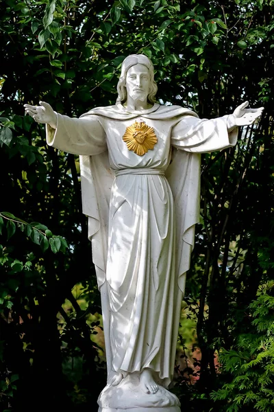 Tiro Vertical Escultura Jesus Cristo Cercado Por Árvores — Fotografia de Stock