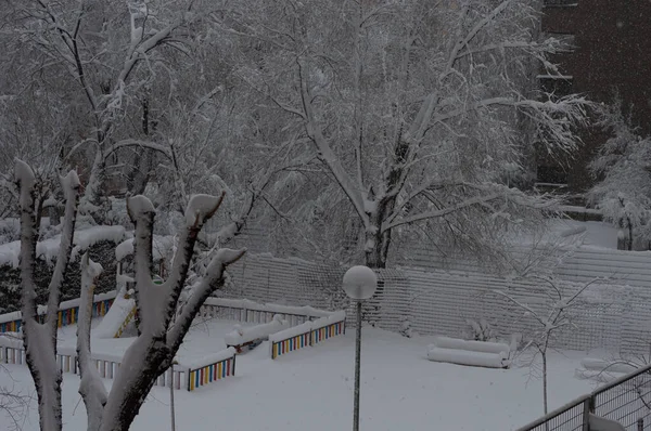 Зимовий Парк Під Час Сильних Снігопадів — стокове фото