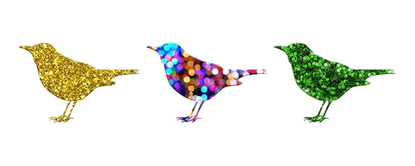 Die Drei Vögel Mit Unterschiedlichen Mustern Isoliert Auf Weißem Hintergrund — Stockfoto