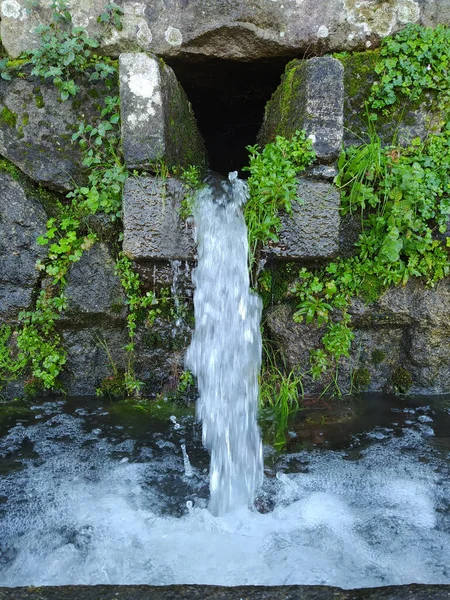 Eine Vertikale Aufnahme Eines Überquellenden Baches Mit Grün Den Seiten — Stockfoto