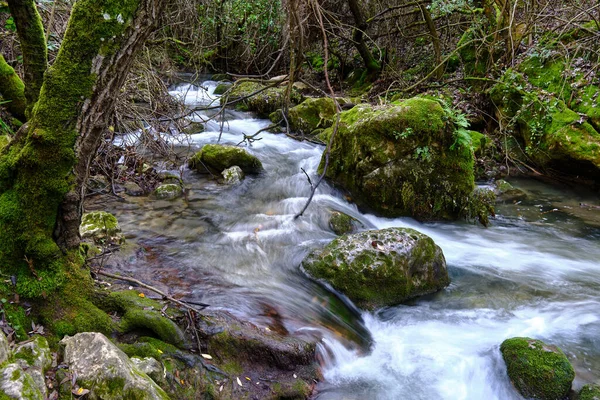 Uma Bela Vista Riacho Que Flui Sobre Rochas Musgosas Uma — Fotografia de Stock