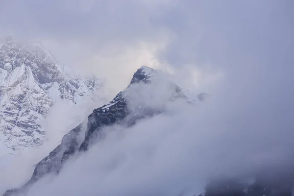안개낀 눈덮인 풍경의 아름다운 — 스톡 사진