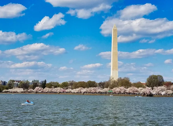 Bacia Tidal Com Monumento Washington — Fotografia de Stock