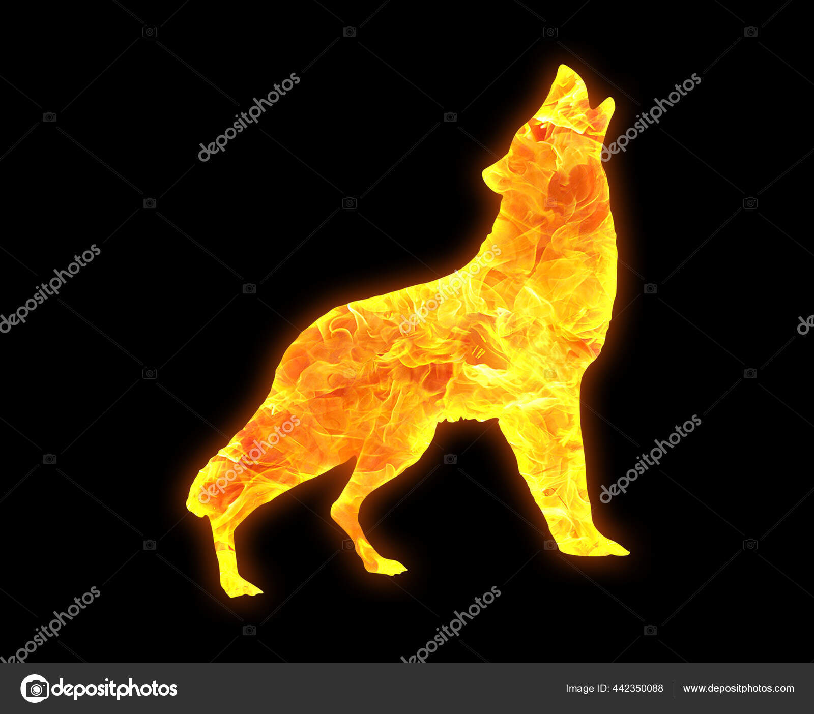 Howling wolf icon Stockfotos, image size:1600x1404