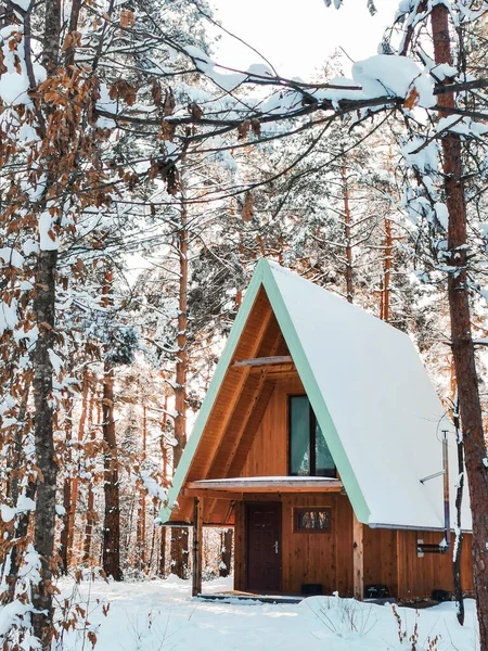 Plano Vertical Los Árboles Esmerilados Una Casa Durante Temporada Invierno — Foto de Stock
