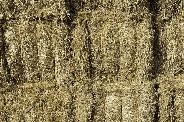 Closeup Shot Textured Brown Surface Dry Hay — Stock Photo, Image