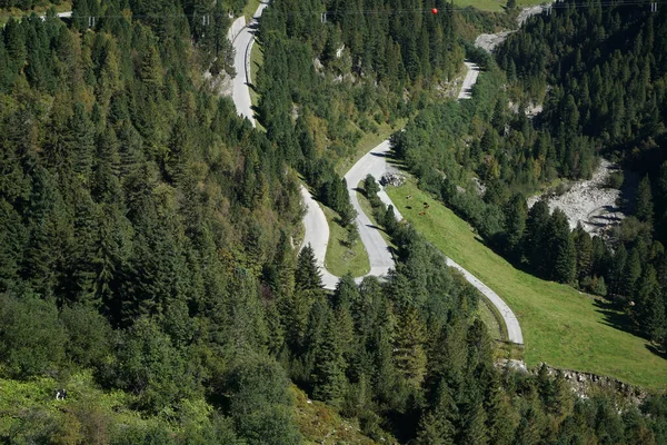 Ένας Απότομος Ανεμοδαρμένος Δρόμος Στα Ορεινά Δασώδες Έδαφος Καταπράσινα Δέντρα — Φωτογραφία Αρχείου
