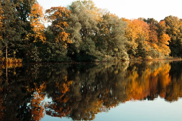 Paysage Lac Reflétant Des Arbres Colorés Dans Une Forêt Automne — Photo