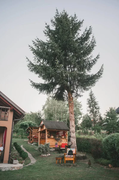 Eine Schöne Aufnahme Eines Gartens Tag — Stockfoto