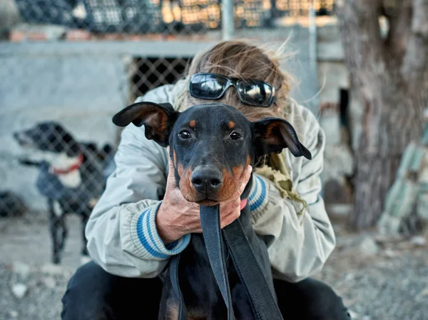 Selective Focus Shot Black German Jagdterrier Dog — Stock Photo, Image