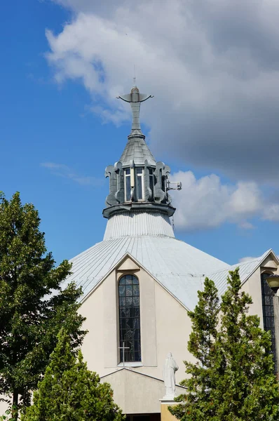 波兹南 波特兰 2017年7月18日 在一棵树后的一座天主教教堂的顶部 — 图库照片