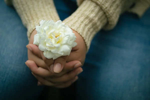 Крупним Планом Жінка Тримає Білу Квітку Розмитим Тлом — стокове фото
