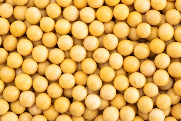 Top View Heap Soy Beans — Stock Photo, Image