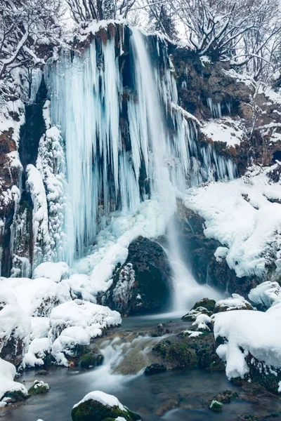 Tiro Vertical Uma Cachoeira Floresta Coberta Neve — Fotografia de Stock