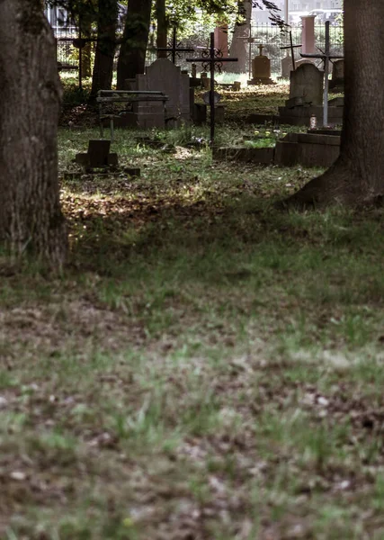 昼間の墓地の垂直ショット — ストック写真