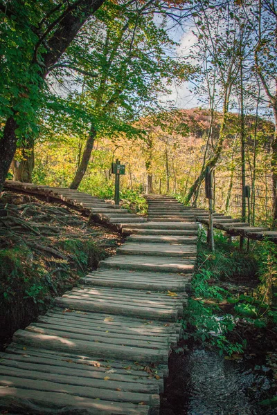 秋の日に森の中を抜ける木の橋の美しい景色 — ストック写真