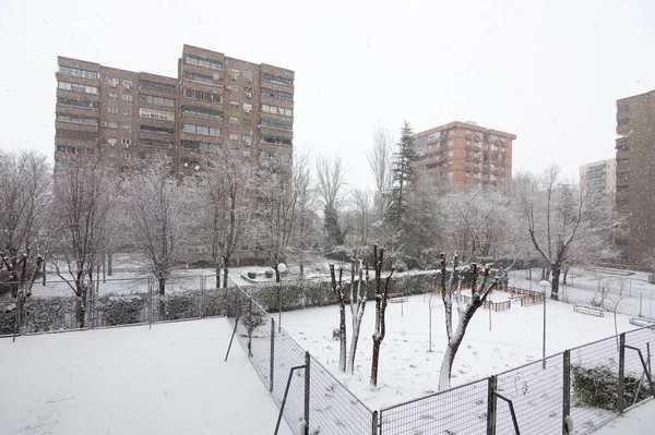 Parque Inverno Com Edifícios Fundo — Fotografia de Stock