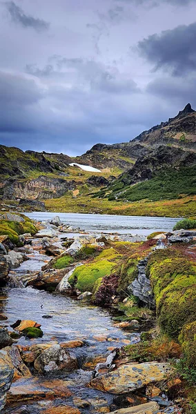 Pionowe Ujęcie Laguna Los Perros Park Narodowy Torres Del Paine — Zdjęcie stockowe