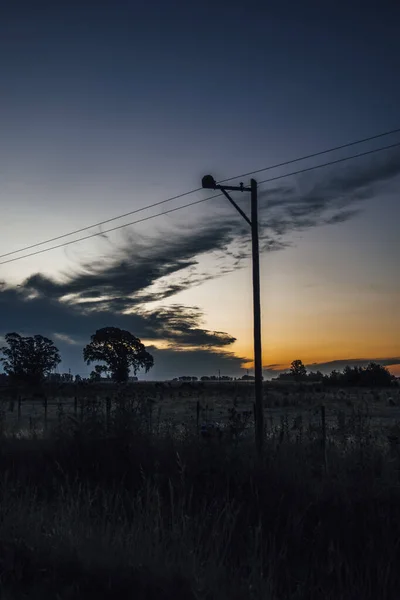 Tiro Vertical Poste Elétrico Campo Durante Pôr Sol — Fotografia de Stock