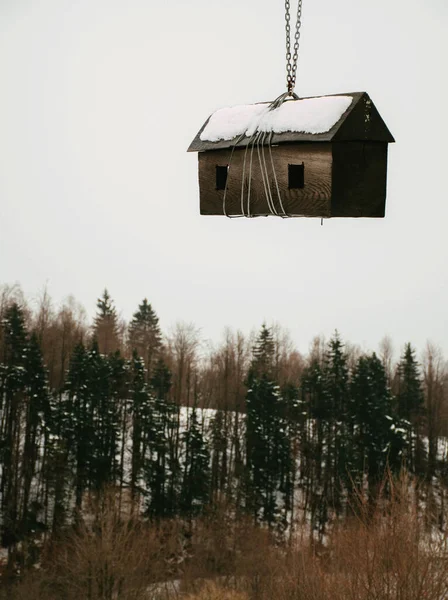 Plan Vertical Nichoir Suspendu Arbre Dans Une Forêt Brumeuse Avec — Photo