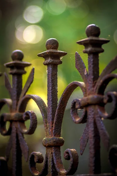 Een Lage Hoek Van Een Roestig Metalen Hek Met Een — Stockfoto