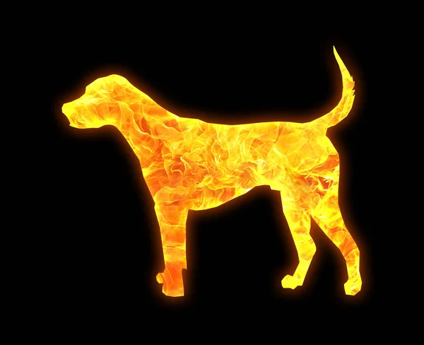 A dog outline with a bright fire pattern isolated on a black background