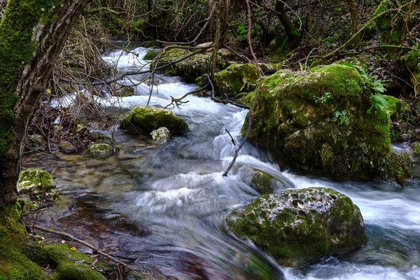 Uma Bela Vista Riacho Que Flui Sobre Rochas Musgosas Uma — Fotografia de Stock