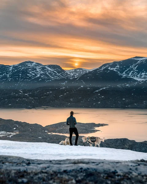 Vertikal Bild Hane Med Två Hundar Snöig Stenig Område Med — Stockfoto