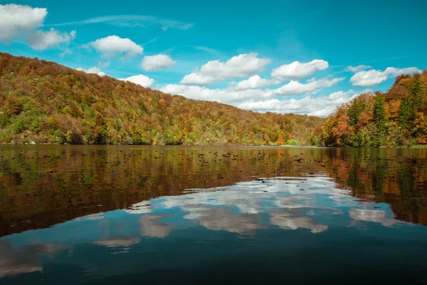 Krásný Výhled Vodu Obklopující Les Barevnými Listy Stromech Podzimního Dne — Stock fotografie