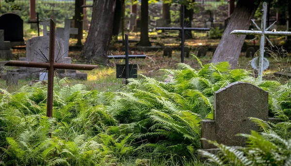 Gün Işığında Bir Mezarlığın Yakın Çekimi — Stok fotoğraf