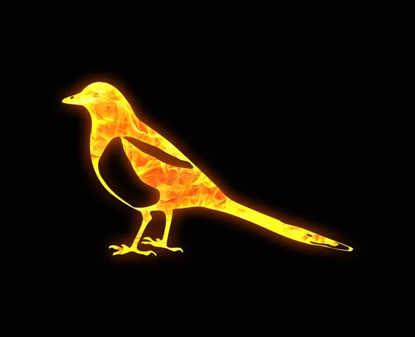 Profilo Uccello Con Luminoso Modello Fuoco Isolato Uno Sfondo Nero — Foto Stock