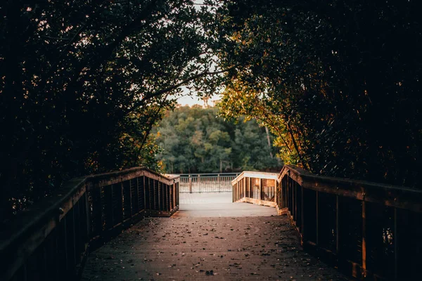 Een Prachtige Opname Van Een Voetgangersbrug Omringd Door Bomen Bedekt — Stockfoto