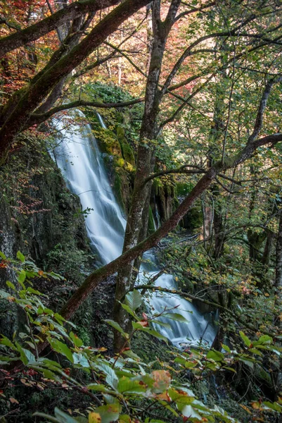 Uma Bela Vista Fluxo Cachoeira Que Atravessa Floresta Dia Queda — Fotografia de Stock