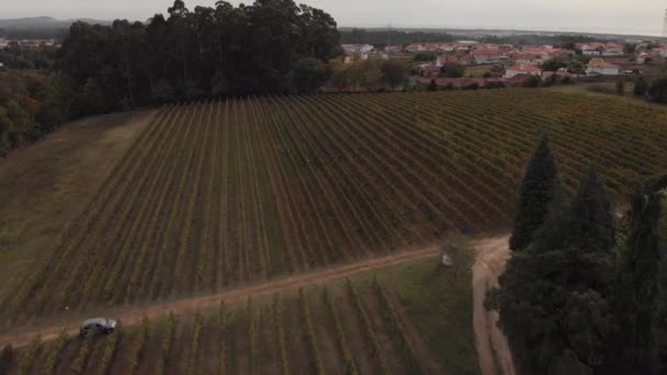 Una Vista Aérea Finca Bodega Región Del Minho — Vídeos de Stock