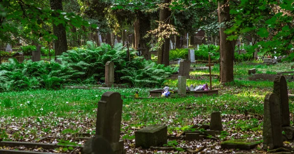 Primo Piano Cimitero Sotto Luce Del Giorno — Foto Stock