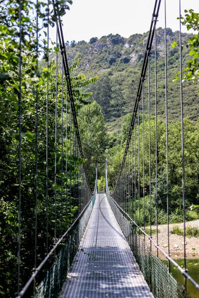 Large Steel Suspension Footbridge River Surrounded Trees Greenery — Stock Photo, Image