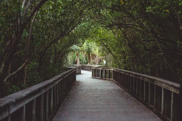 Eine Schöne Aufnahme Von Einer Fußgängerbrücke Die Von Bäumen Umgeben — Stockfoto