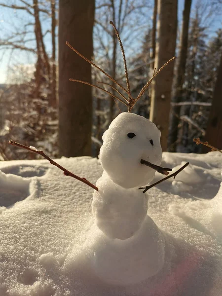 Disparo Vertical Muñeco Nieve Bosque Bajo Luz Del Día —  Fotos de Stock