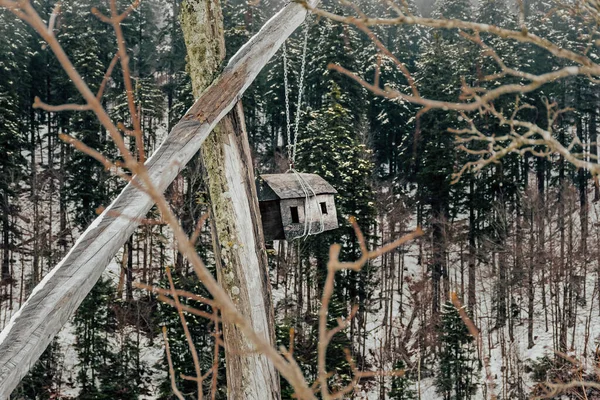 Een Vogelhuisje Een Mistig Bos Met Hoge Bomen Winter — Stockfoto