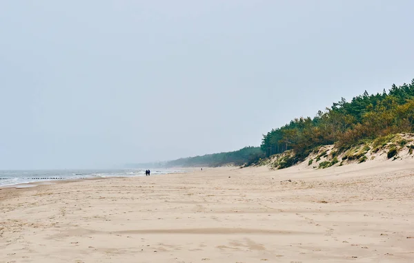 Naturskön Sandstrand Vid Östersjön Sarbinowo Polen — Stockfoto