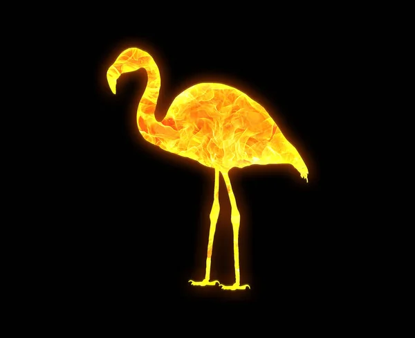 Eine Flamingoumrandung Mit Einem Hellen Feuermuster Isoliert Auf Schwarzem Hintergrund — Stockfoto