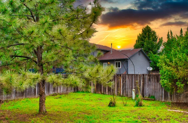 Una Fascinante Vista Rural Una Casa Rodeada Vegetación Verde —  Fotos de Stock