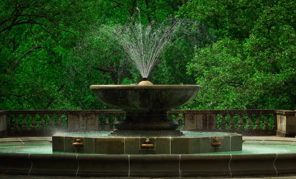 Ein Schöner Brunnen Umgeben Von Bäumen Einem Großen Park — Stockfoto